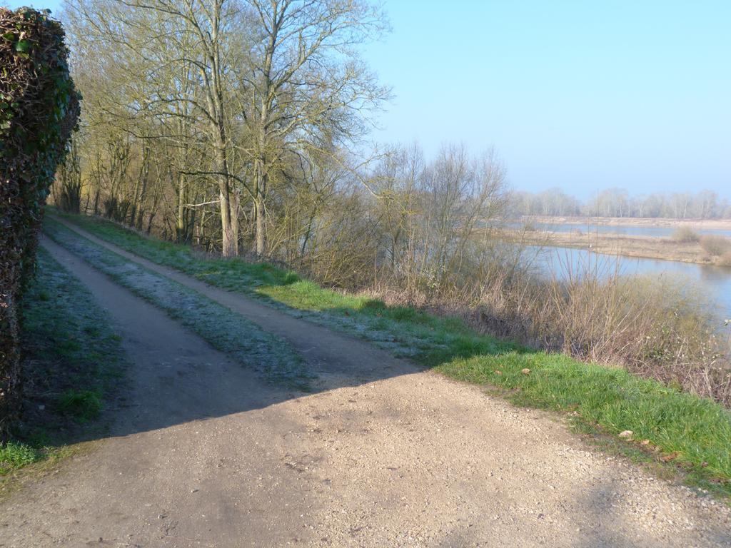 Les Gites De Colliers Muides-sur-Loire Szoba fotó