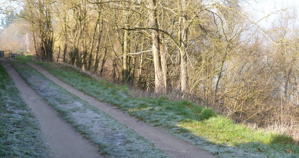 Les Gites De Colliers Muides-sur-Loire Szoba fotó