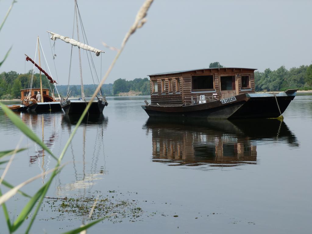 Les Gites De Colliers Muides-sur-Loire Kültér fotó